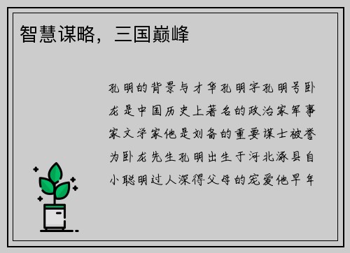 智慧谋略，三国巅峰